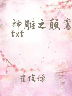 神雕之颠鸾倒凤txt