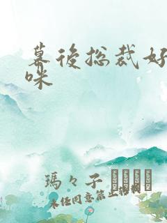 幕后总裁好孕妈咪