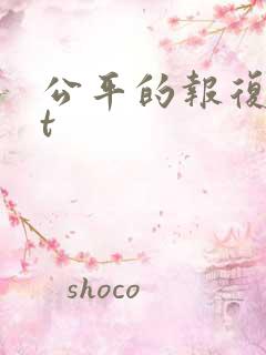 公平的报复txt