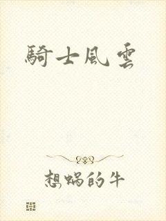 骑士风云