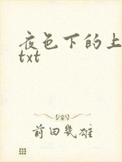 夜色下的上海滩txt