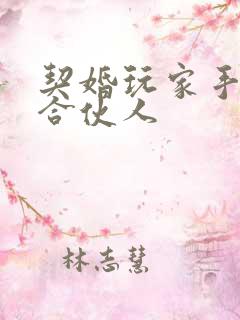 契婚玩家手册之合伙人