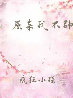 原来我不帅小说