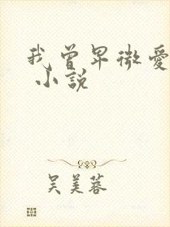 我曾卑微爱过你 小说