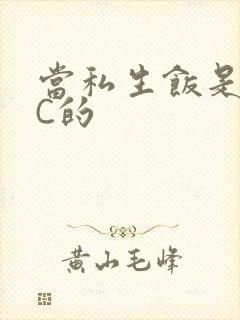 当私生饭是要挨C的