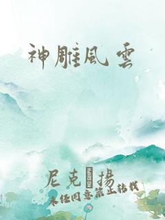神雕风云