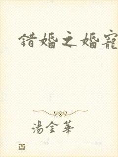 错婚之婚宠一世