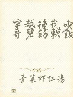 穿越后我吃到了哥儿的软饭炉山灰