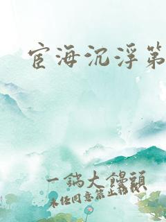 宦海沉浮第三部