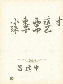 小东西这才一颗珠子而已