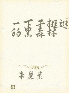 一下子挺进浓密的黑森林