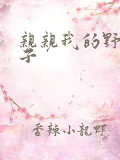 亲亲我的野猪王子