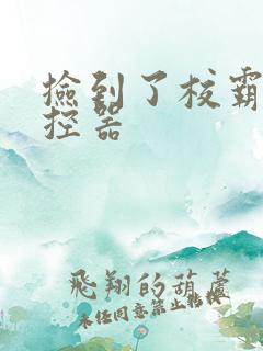 捡到了校霸的遥控器