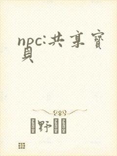 npc:共享宝贝