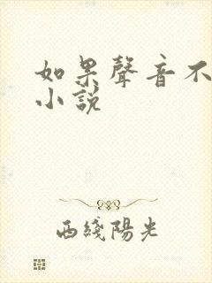 如果声音不记得小说