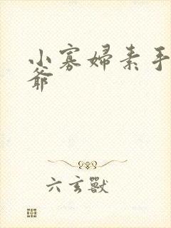 小寡妇素手擒四爷