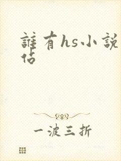 谁有hs小说网站