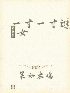 一寸一寸进入小姪女