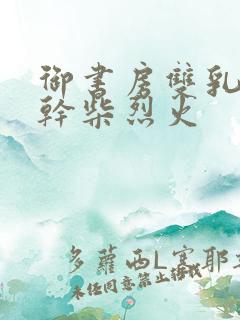 御书房双乳晃动干柴烈火