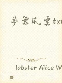 梦舞风云txt
