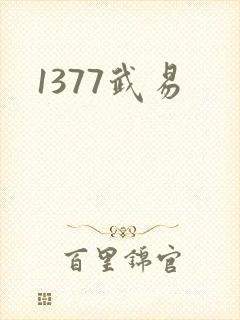 1377武易
