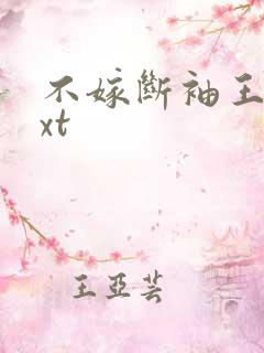 不嫁断袖王爷txt