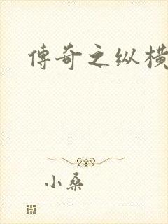 传奇之纵横玛法