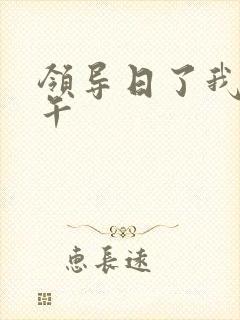 领导日了我一下午