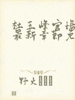 杜玉峰官场小说最新章节免费阅读