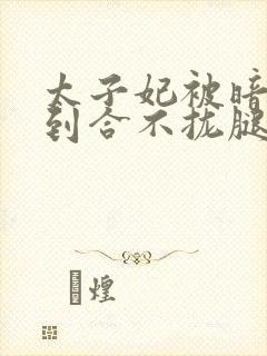 太子妃被暗卫c到合不拢腿