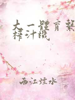 大一体育系精牛榨汁机