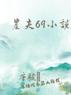 农夫69小说