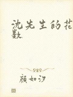 沈先生的花式调数