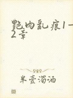 艳肉乱痕1—12章