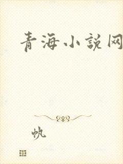 青海小说网