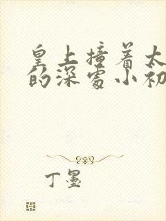 皇上撞着太子妃的深处小初