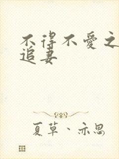 不得不爱之冷少追妻