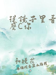 从镜子里看我怎么C你