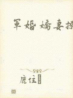 军婚 娇妻撩人