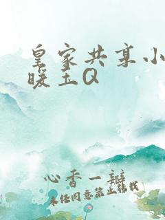 皇家共享小公主暖玉Q