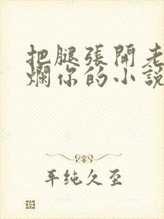 把腿张开老子臊烂你的小说