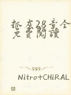 抓灰28章全部免费阅读