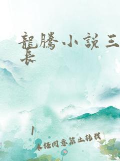 龙腾小说三宝局长
