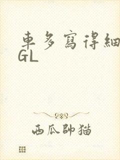 车多写得细腻的GL