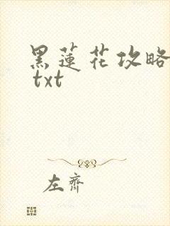 黑莲花攻略手册 txt