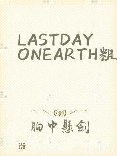 LASTDAYONEARTH粗暴