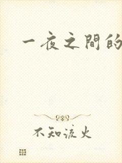 一夜之间的天才