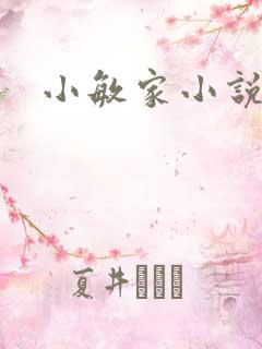小敏家小说