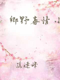 乡野春情 小说