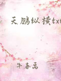 天鹏纵横txt